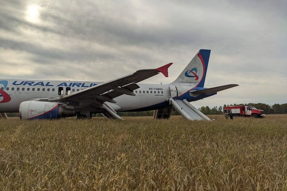 Самолет приземлился на поле с пшеницей. Фото: Западно-Сибирская транспортная прокуратура