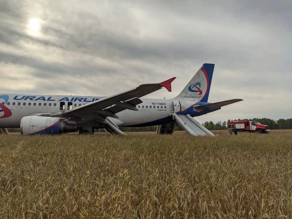 Появилась запись переговоров пилотов самолета, севшего на поле под Новосибирском. Фото: Западно-Сибирская транспортная прокуратура