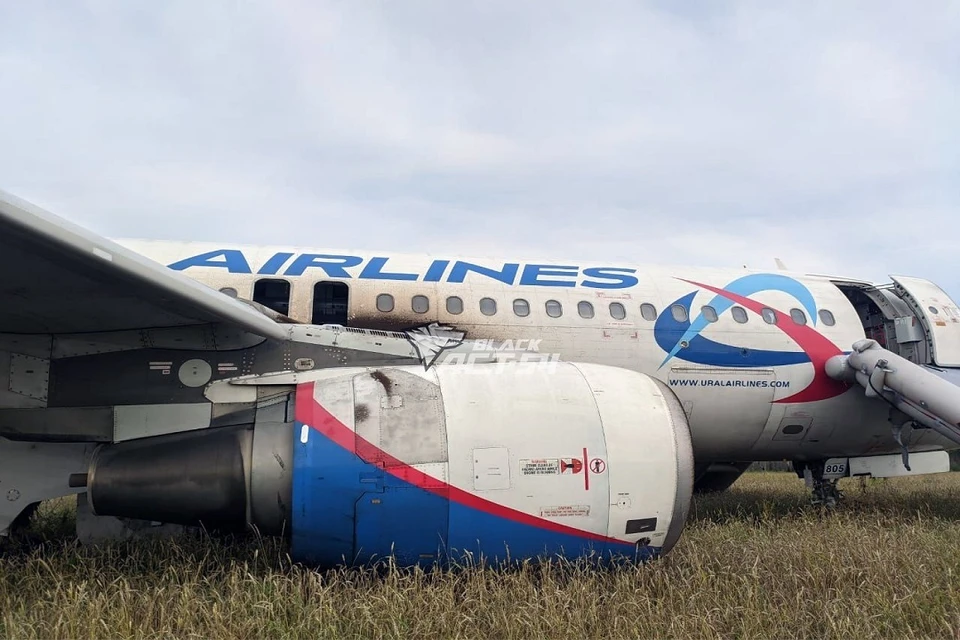 Самолет, аварийно севший в поле в Новосибирской области, продолжит летать. Фото: "АСТ-54".
