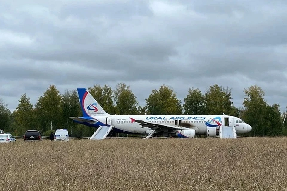 Пассажирский самолет вынужденно сел в поле в Новосибирской области.
