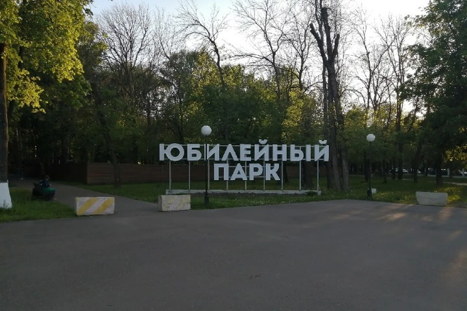 В Юбилейном парке Ярославля началась вырубка больных деревьев.