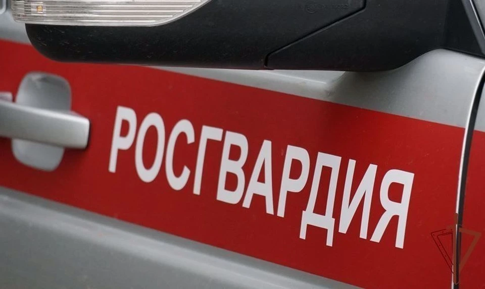 В Новомосковске сотрудники Росгвардии задержали подозреваемого в краже телефона