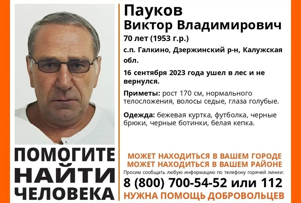 Любую информацию о местонахождении пропавшего сообщайте по телефону горячей линии 8 800 700-54-52 (бесплатно на территории РФ) или инфоргу поиска Кристине 89104695945.