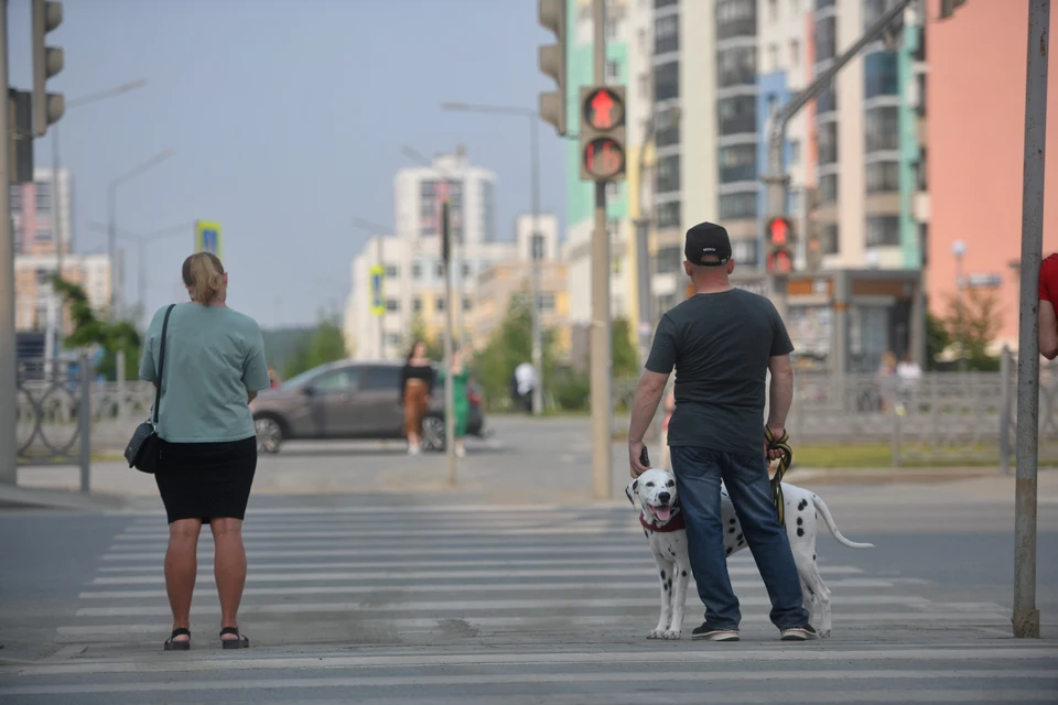 В Ульяновске никто не хочет заниматься вопросом собачников, поэтому им приходится выгуливать своих питомцев, где попало