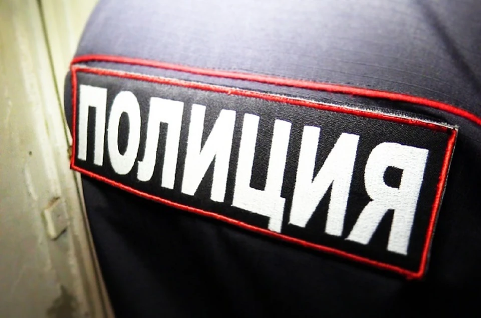В ходе розыскных мероприятий оперативники задержали 32-летнюю подозреваемую. Фото: МВД по ДНР