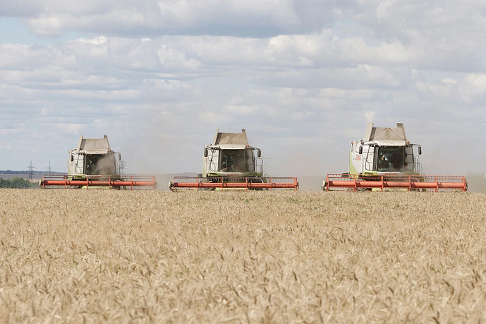 В Тульской области собрали более 2,3 миллионов тонн зерна