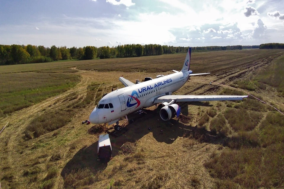 У аварийно севшего в поле под Новосибирском самолёта починили гидросистему. Фото: "Уральские авиалинии".