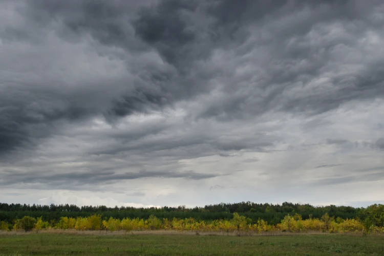 Прогноз погоды в Кирове с 25 по 29 сентября: до +17 и пасмурно