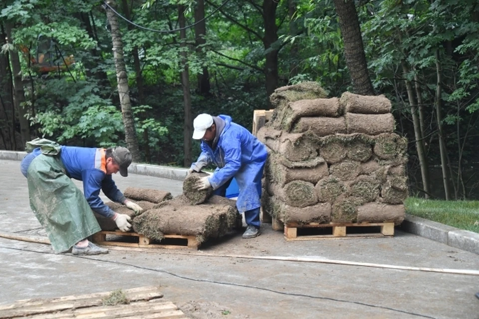 В Ростове-на-Дону благоустроят территорию Гремучего родника