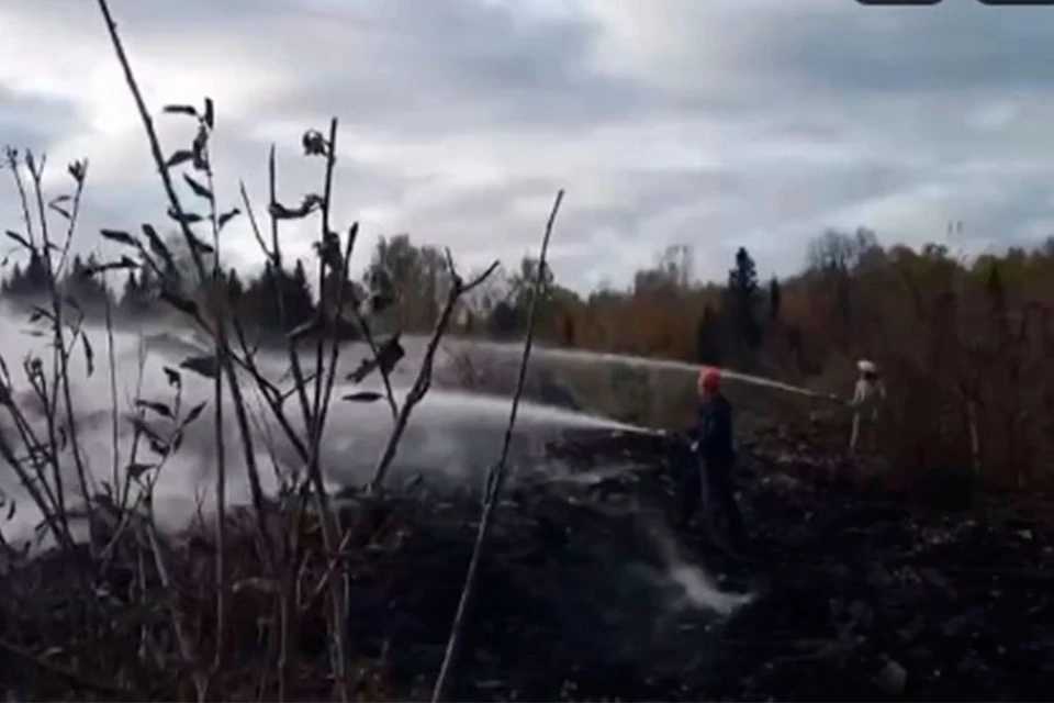 Фото: скриншот с видео Дениса Удалова