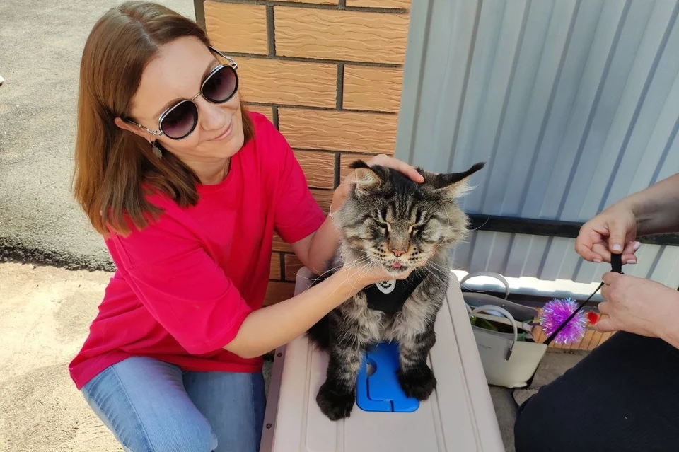 В клинике вылечат абсолютно любого питомца