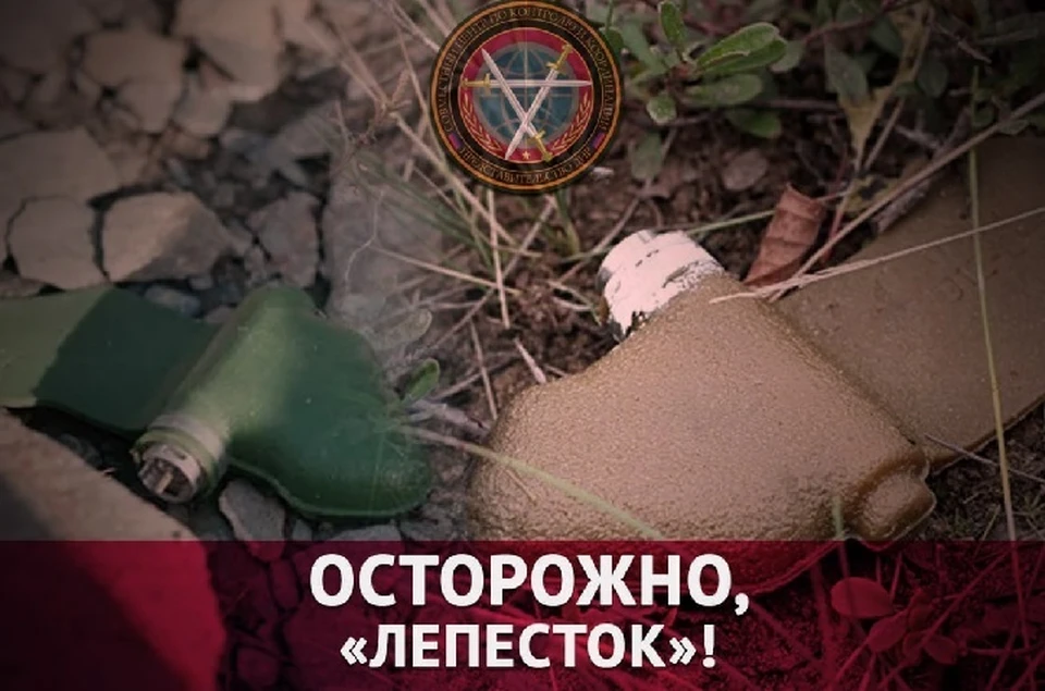 В Горловке обнаружили мину «Лепесток» возле детского сада «Аленка» по улице Черкасская (архивное фото). Фото: СЦКК ДНР