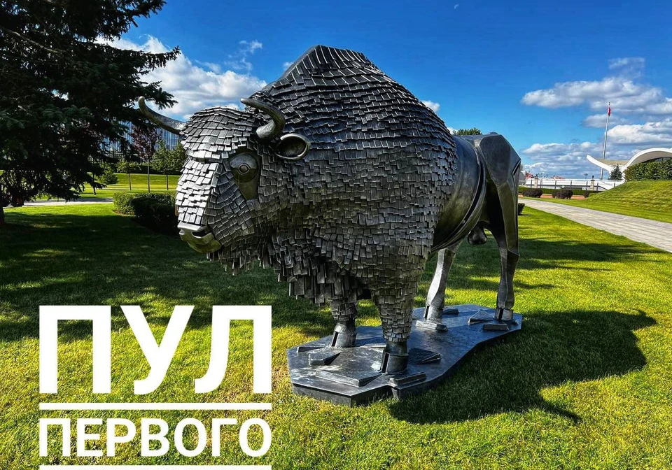 Скульптуру зубра установили в Минске возле Дворца Независимости. Фото: Пул Первого