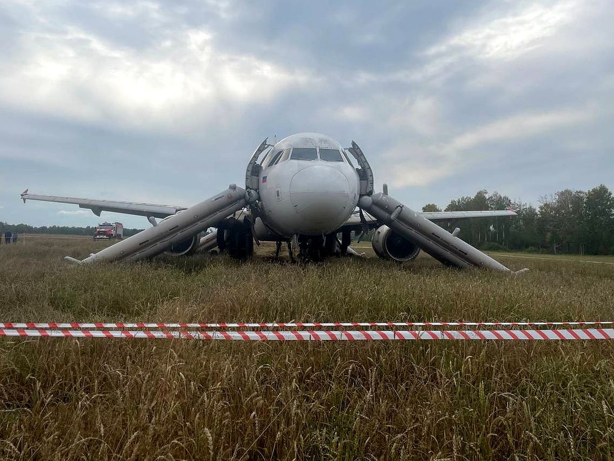 Для аварийно севшего «Аэробуса» построят взлетную полосу в пшеничном поле -  KP.RU