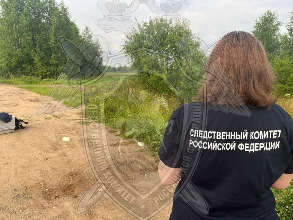Фото: пресс-служба СУ СК России по Костромской области