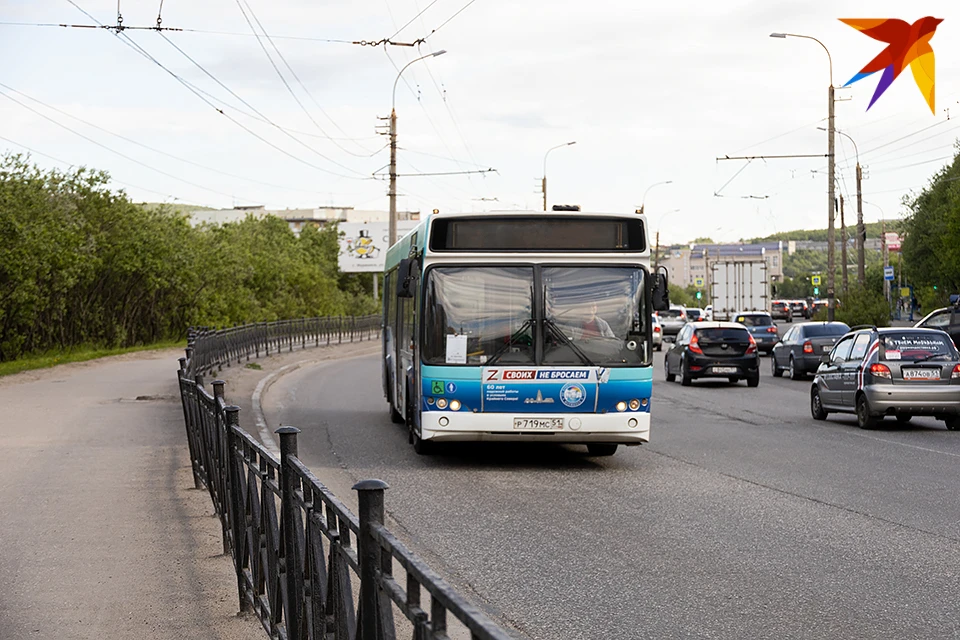 В Мурманске пешеход вместе со своей собакой угодил под колеса автобуса, перебегая дорогу по «зебре».