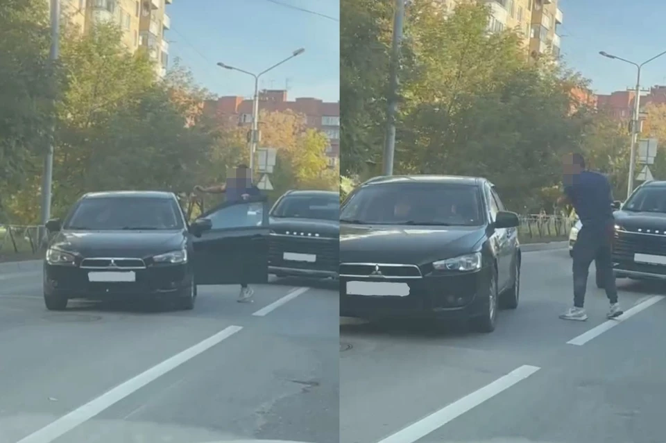 В Новосибирске двое автомобилистов устроили потасовку прямо посреди дороги. Фото: "АСТ-54"