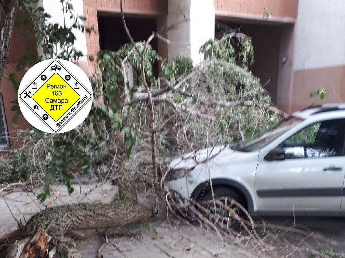 Упавшее дерево повредило машину и перегородило въезд во двор в Самаре -  KP.RU