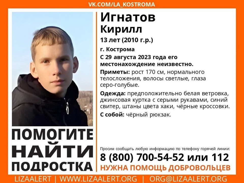 Фото: ДПСО "Лиза Алерт" Костромской области
