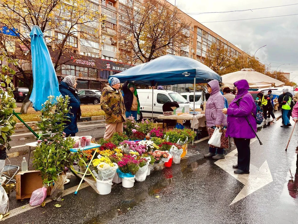 ФОТО: телеграм-канал министра сельского хозяйства Михаила Семенкина