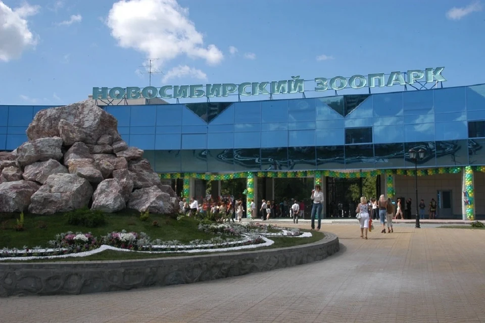 Прокуратура проверит, законно ли снесли в Новосибирске остановку у зоопарка.