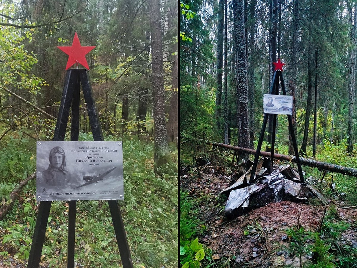 В лесах Тверской области установили две памятные таблички на местах гибели  советских летчиков - KP.RU