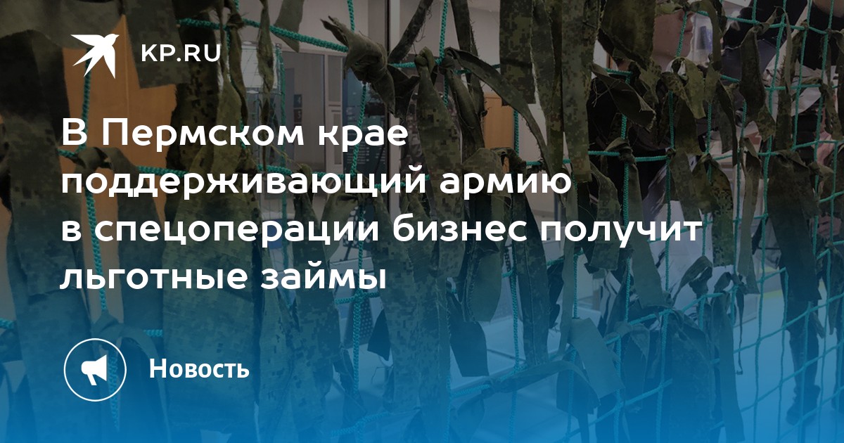 В Пермском крае поддерживающий армию в спецоперации бизнес получит льготные займы - KP.RU