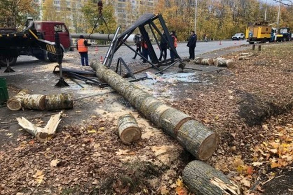 Фото: Пресс-служба регионального СК