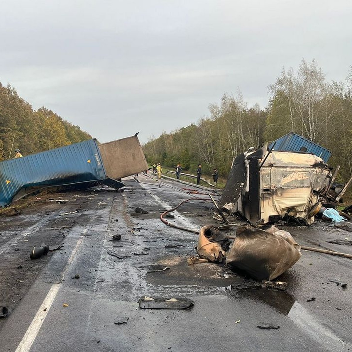 Авария с горящими авто под Липецком: в больницу попали водитель грузовика и  пассажирка «Газели» - KP.RU