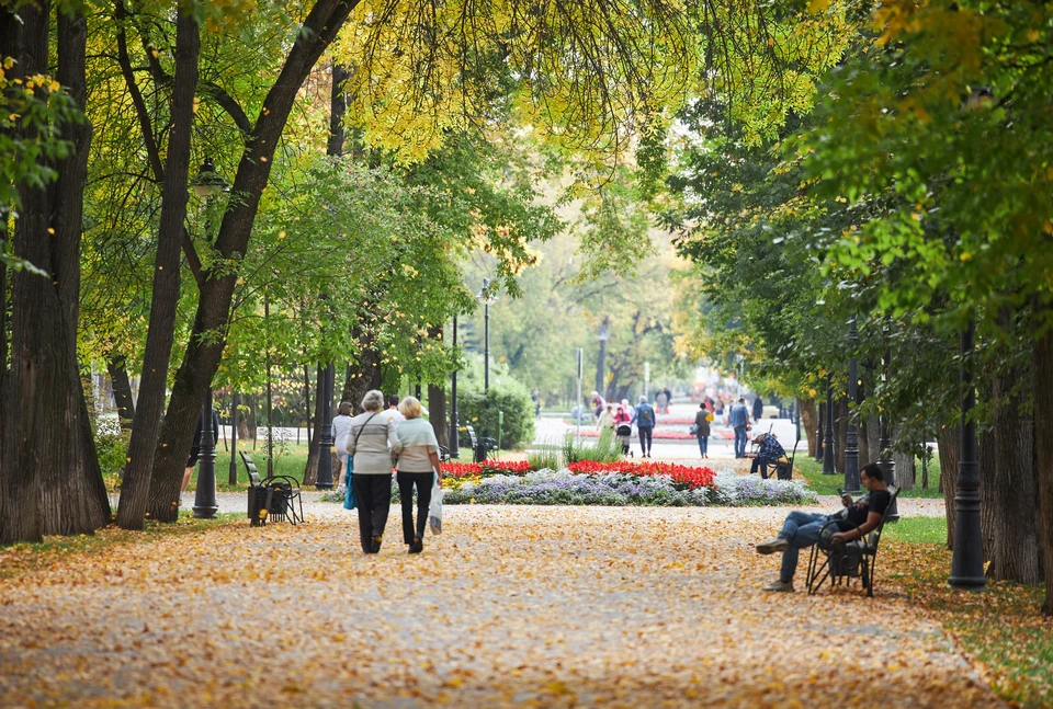 Воскресенье в ЛНР обещает быть теплым. Фото: архив "КП"