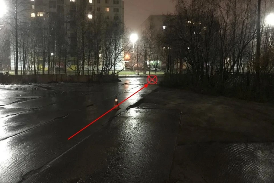 Фото: управление ГИБДД по Коми