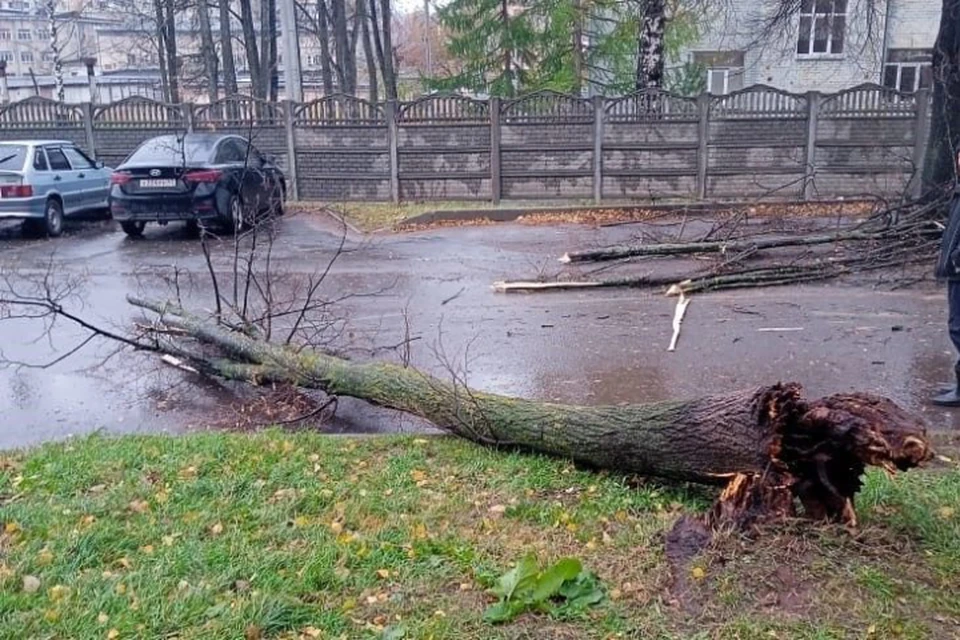 Последствия стихии до сих пор устраняют. Фото: киров.рф