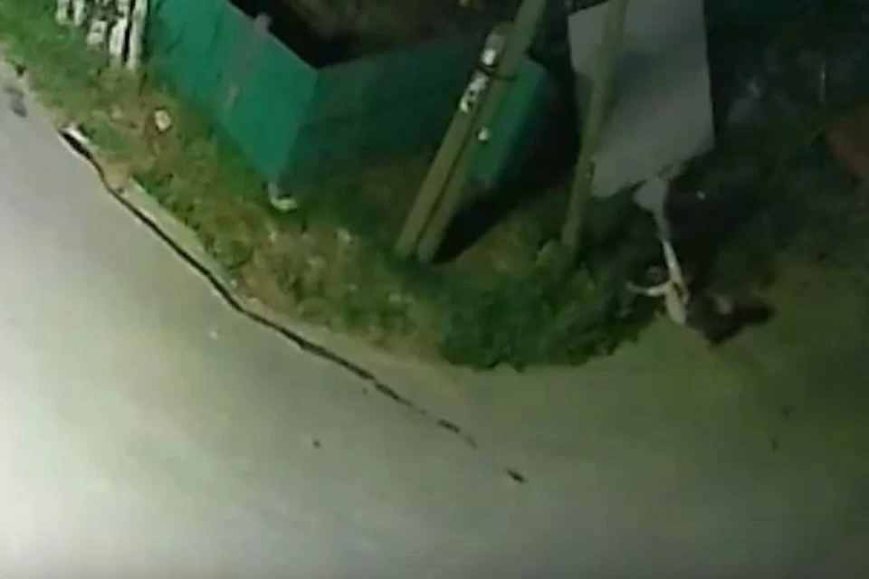 Мужчина убил знакомого под камерой наблюдения Фото: скриншот из видео
