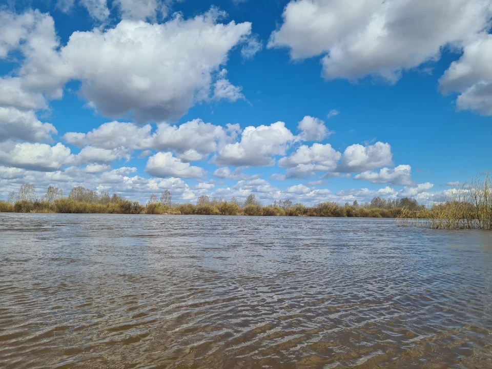Уровень воды в реках Югры может упасть ниже критических отметок этой осенью