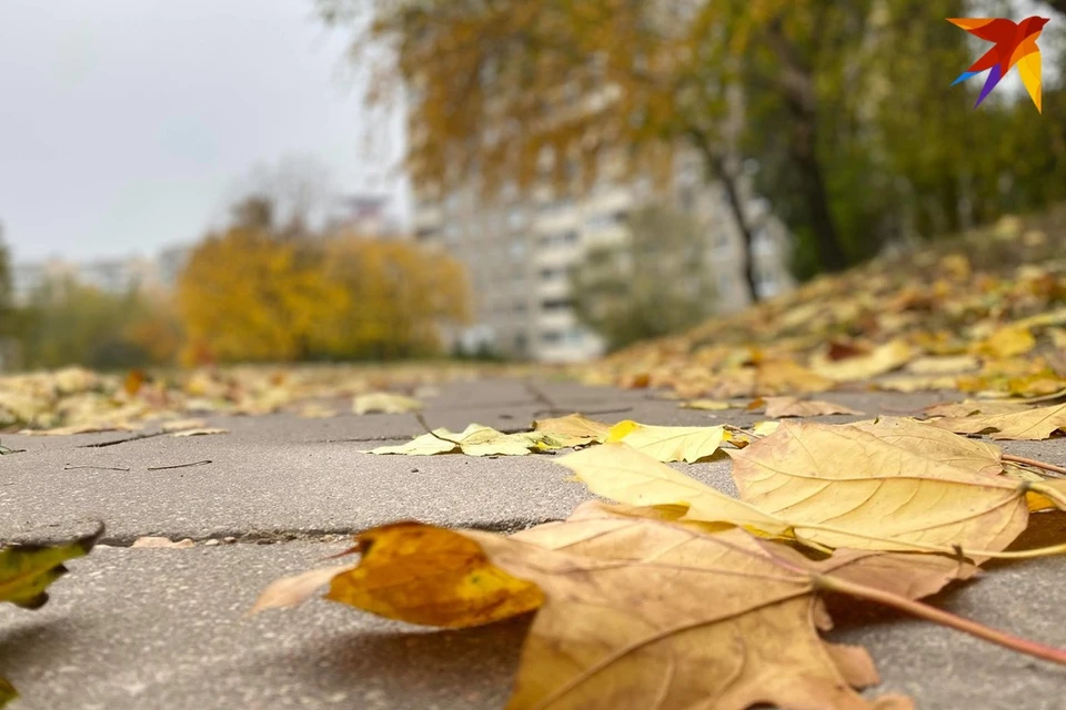 Что можно и нельзя делать в Пелагеин день 21 октября на Починки. Фото: архив «КП»