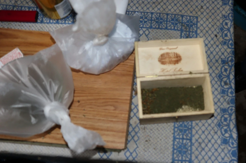 Под Липецком полицейские нашли у мужчин 105 кустов конопли и 21 грамм марихуаны