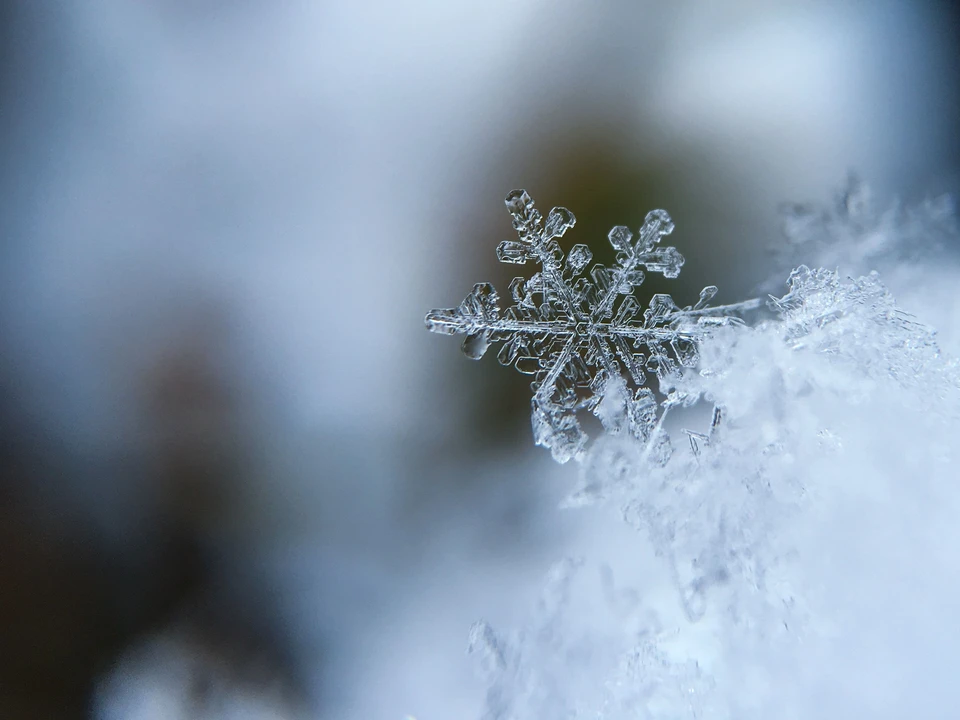 Фото - Unsplash.com