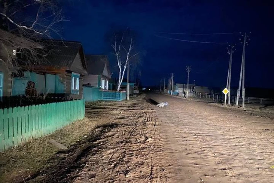 Два подростка на мопеде сбили лошадь в Иркутской области