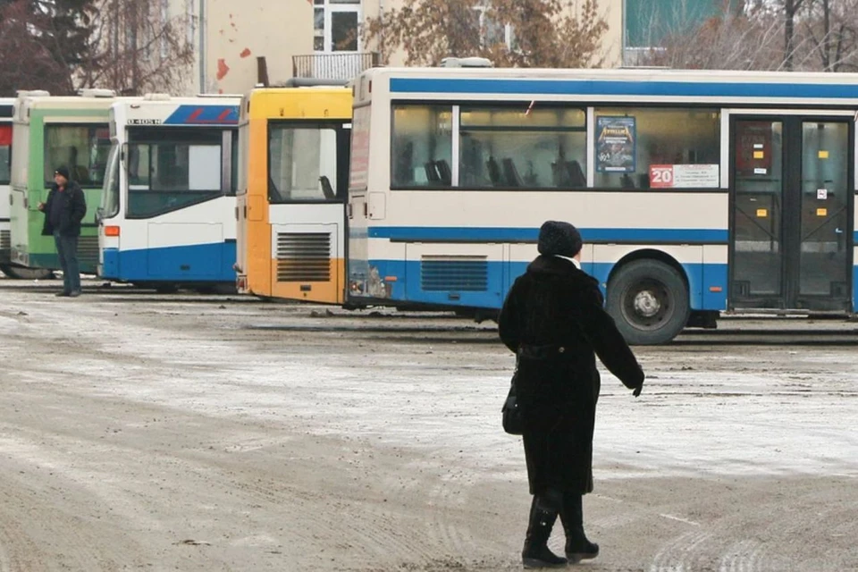 Подать заявку в Центр занятости следует до 1 ноября