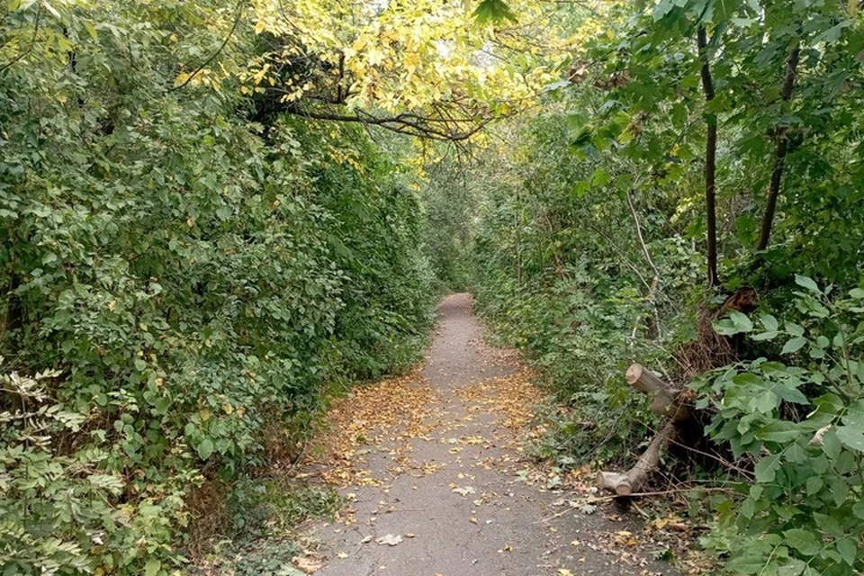 Осень в Донецке
