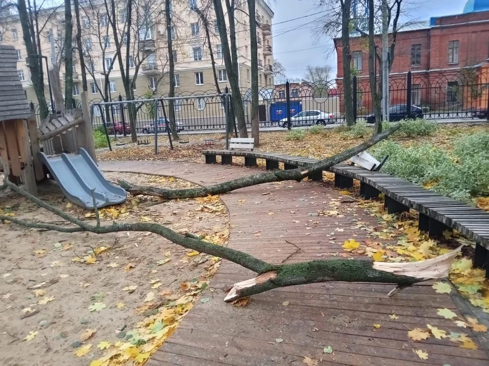 фото управления экологии Воронежа