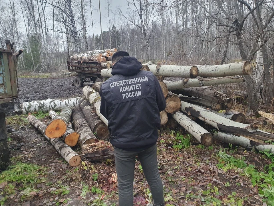 Трагедия произошла в окрестностях села Калиновка в Новомариинском урочище. Фото: СК Томской области