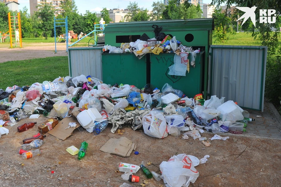 Прокуратура внесла представление за невывоз мусора в Рязани и области.