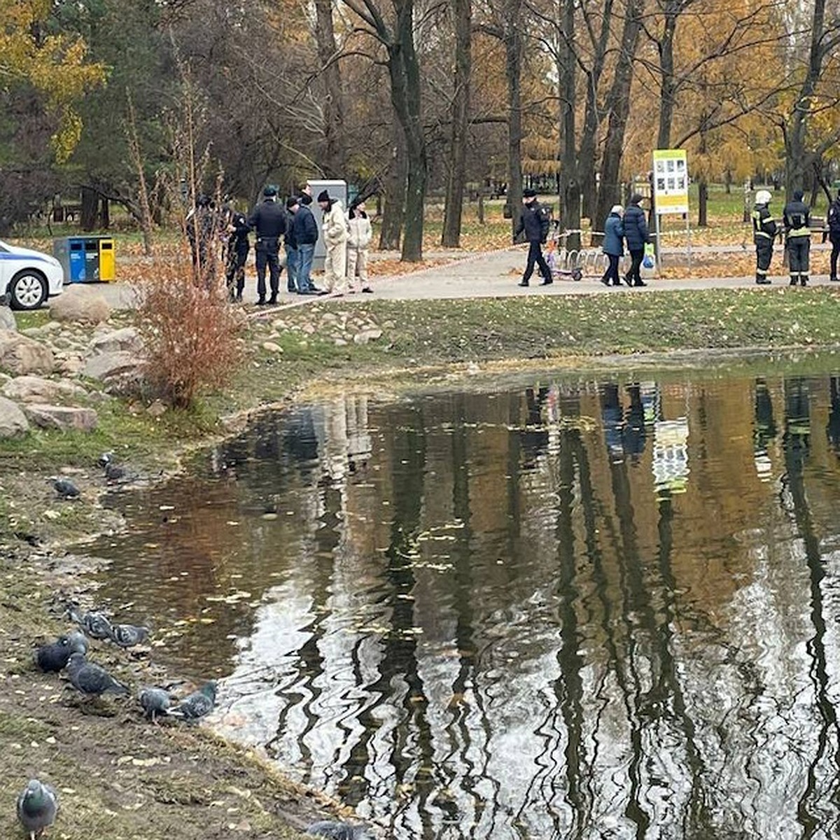 В пруду в Москве обнаружили труп пенсионерки - KP.RU