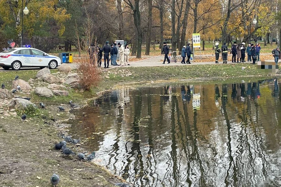 В пруду в Москве обнаружили труп пенсионерки