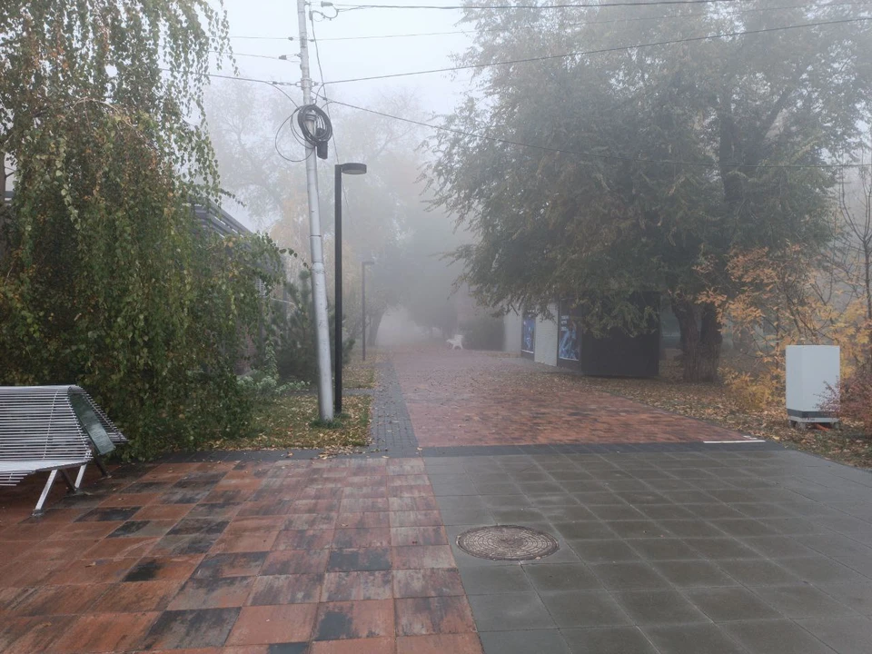В Волгограде уже шестой туман.