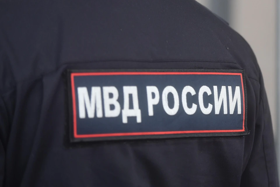 В Рязанской области задержали курьера мошенников, который забрал у пенсионерок полмиллиона рублей