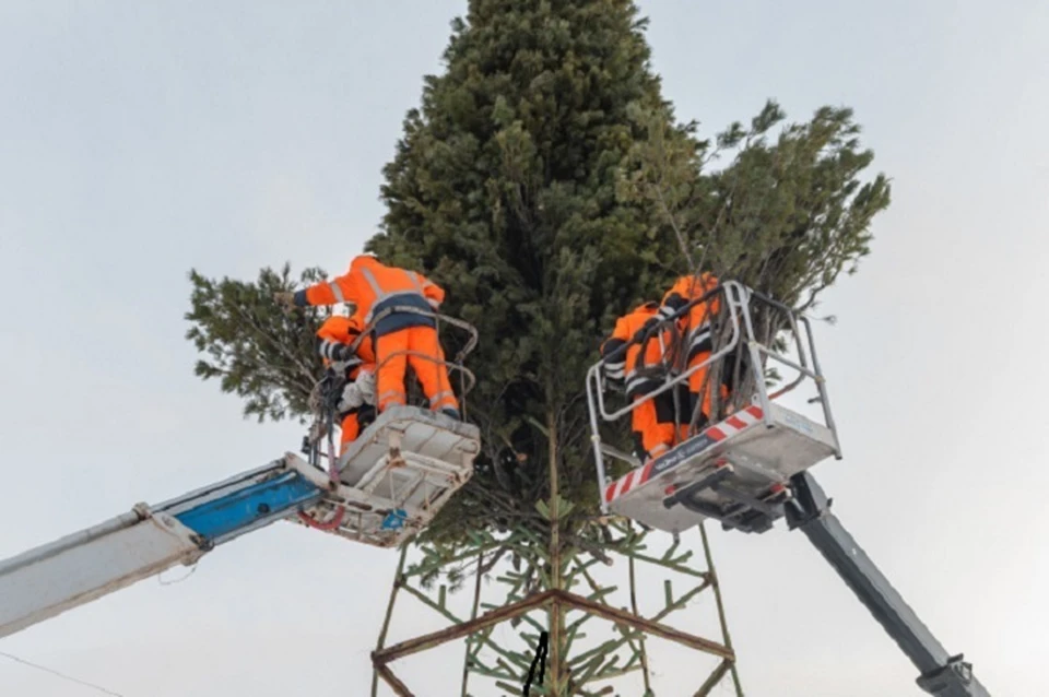 В Магадане начнут устанавливать новогодние елки в ближайшие дни Фото: мэрия Магадана