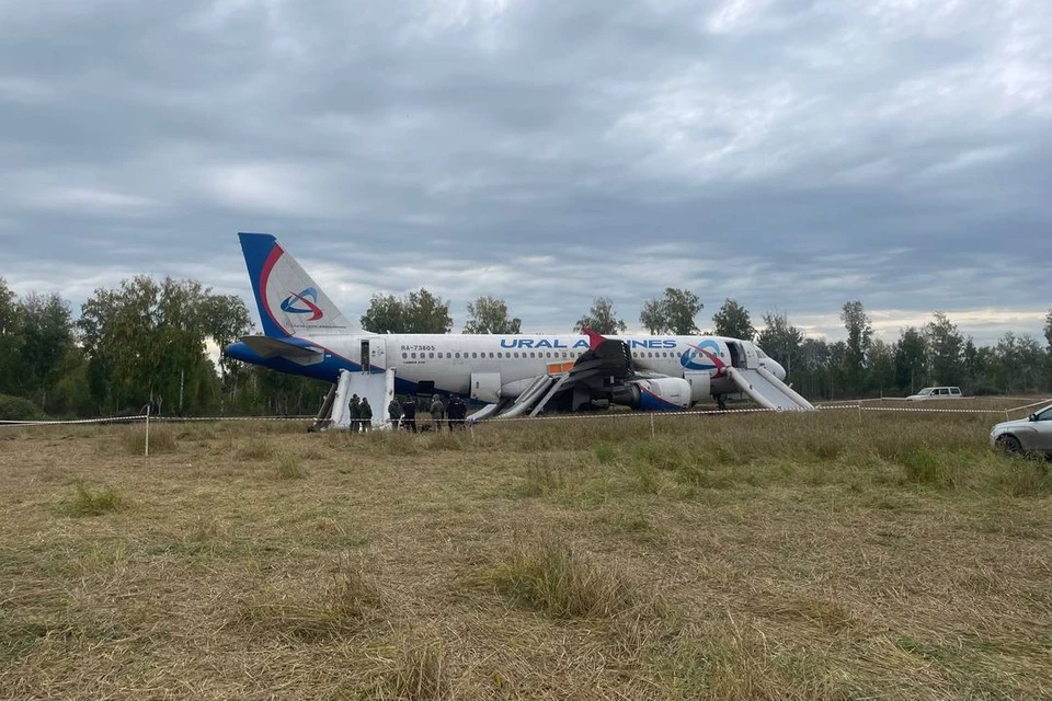 Росавиация решила возобновить расследование причин аварийной посадки самолёта «Уральских авиалиний» в поле под Новосибирском.