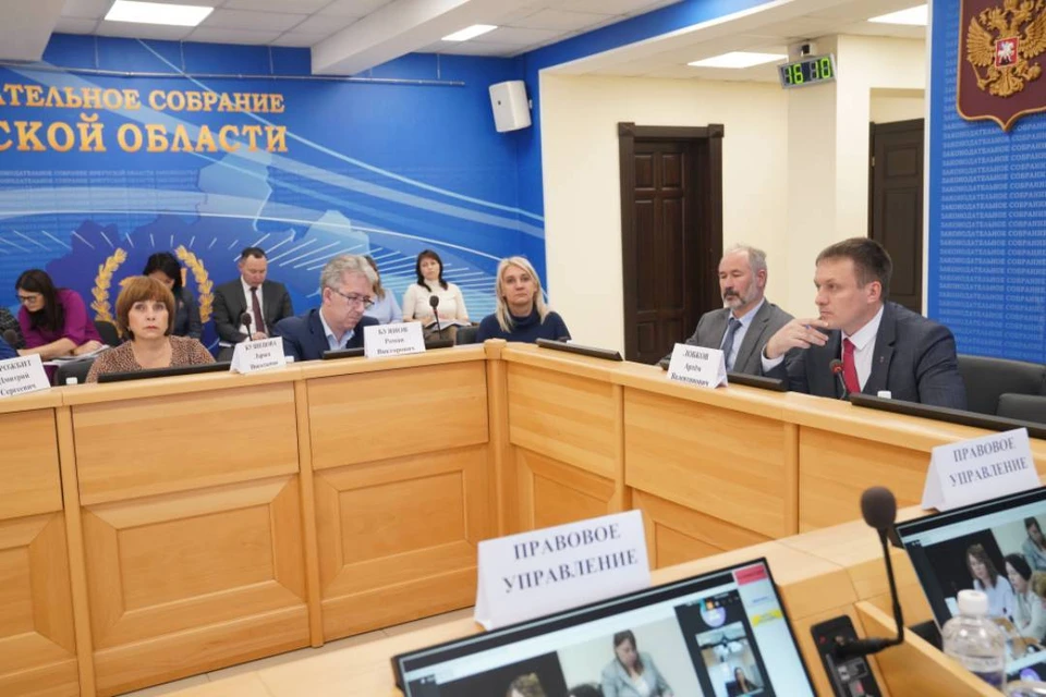 В Законодательном собрании Иркутской области прошло заседание комитета по здравоохранению и социальной защите.